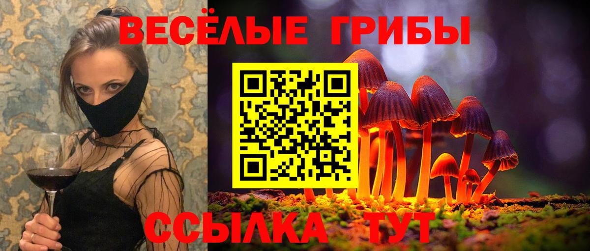Мыски  Галлюциногенные грибы Psilocybine cubensis  Вход с VPN 